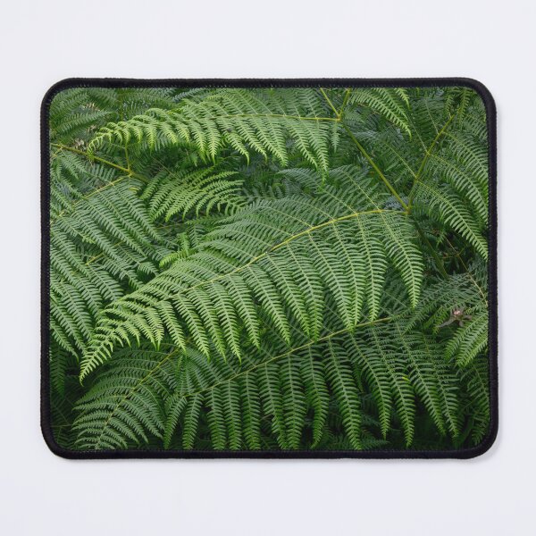 Item preview, Green ferns designed and sold by Leighton Collins.