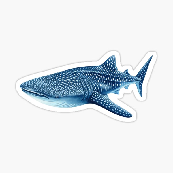 Item preview, Whaleshark designed and sold by 4rtistcDrift.