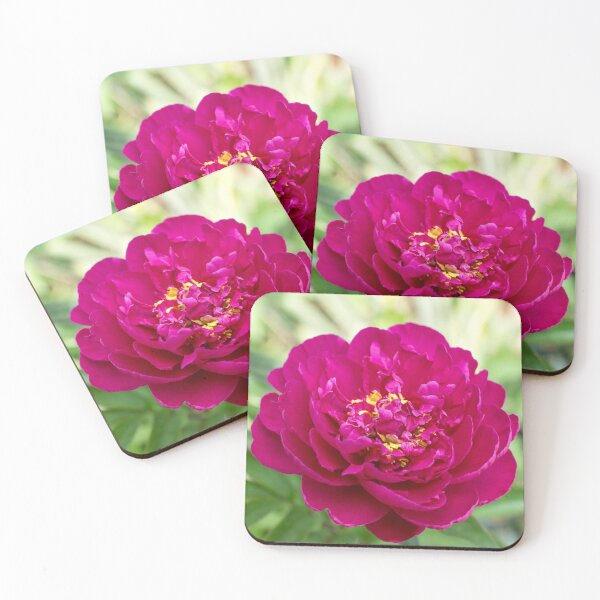 Item preview, Singular Peony Bloom in Rich Magenta designed and sold by Georgia Mizuleva.