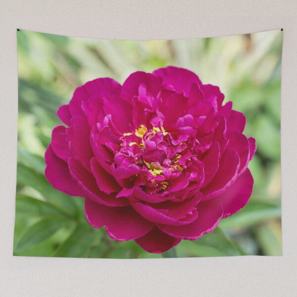 Item preview, Singular Peony Bloom in Rich Magenta designed and sold by Georgia Mizuleva.