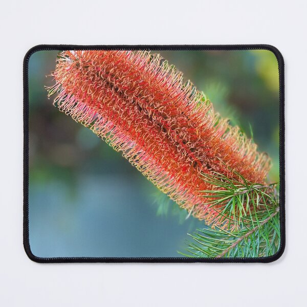 Item preview, Lovely Banksia designed and sold by archieswell.
