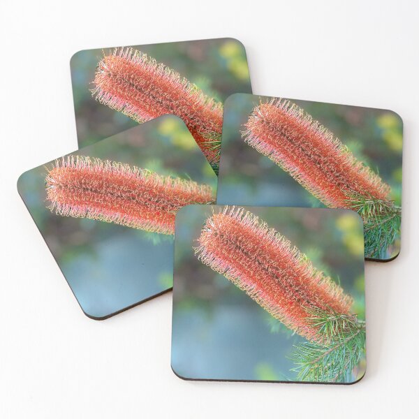 Item preview, Lovely Banksia designed and sold by archieswell.