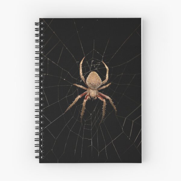 Item preview, Orb weaver spider - with web designed and sold by Wild-shms.
