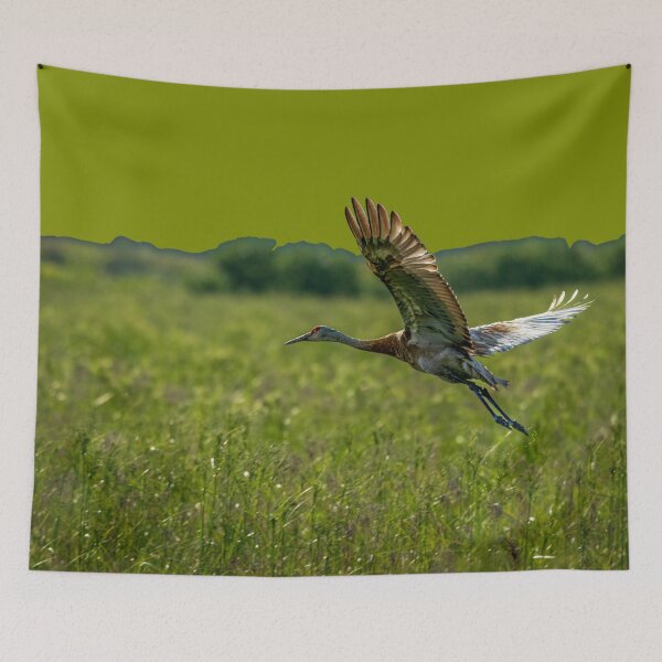 Item preview, Mastadon designed and sold by ontological.