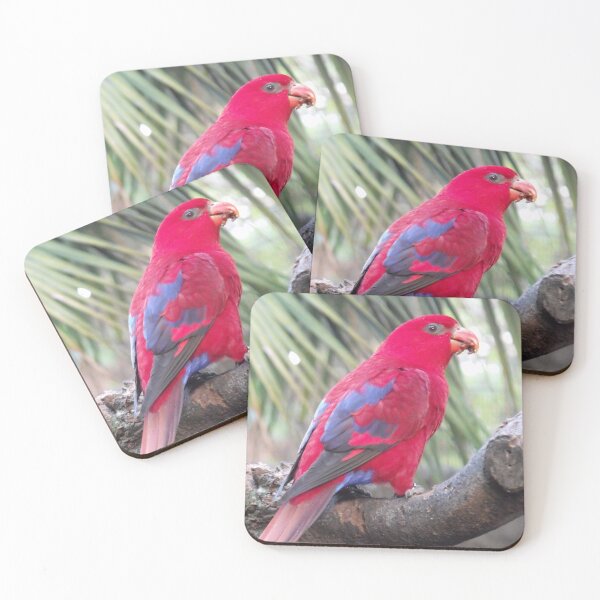 Item preview, Crimson Rosella designed and sold by Kymbo.