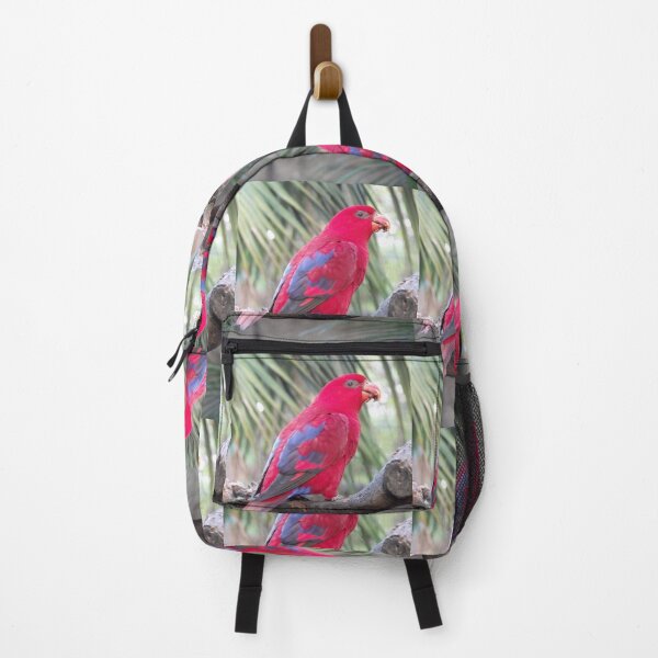 Item preview, Crimson Rosella designed and sold by Kymbo.