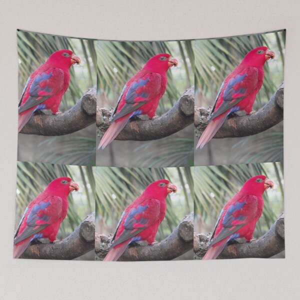 Item preview, Crimson Rosella designed and sold by Kymbo.