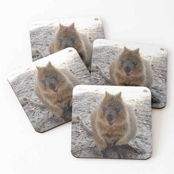 Item preview, SMILE - Quokka Rottnest Island designed and sold by Lunaqwa.