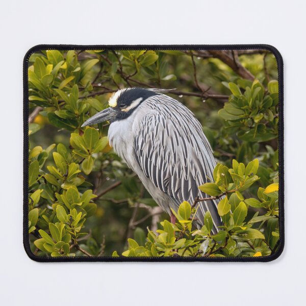 Item preview, Silently Roosting designed and sold by Debra Martz.