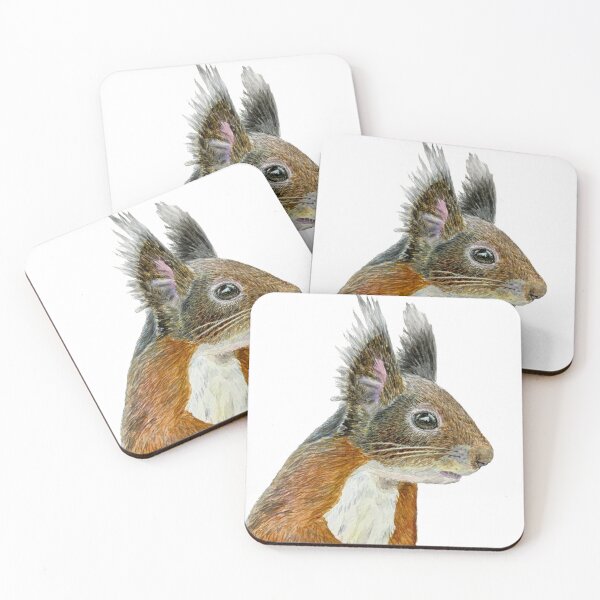 Item preview, squirrel hand painted scientific watercolor painting. Ecologists illustration. Zoology art.  designed and sold by Bmoony.
