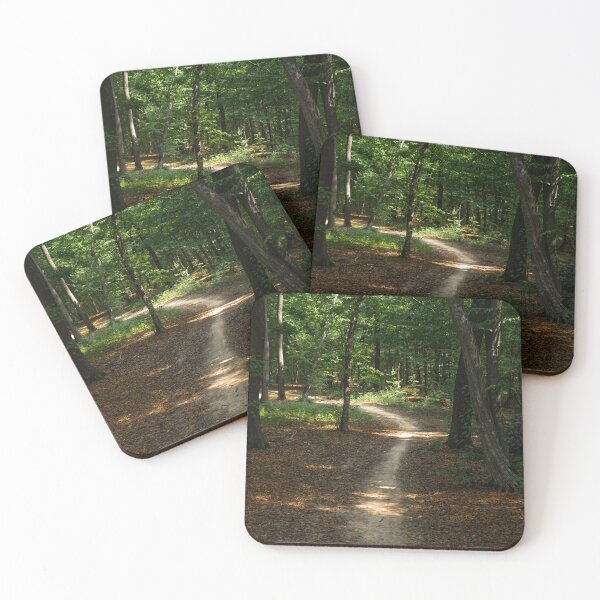 Item preview, Sunlit pathway through green forest with light brown forest floor designed and sold by PR7 photography.