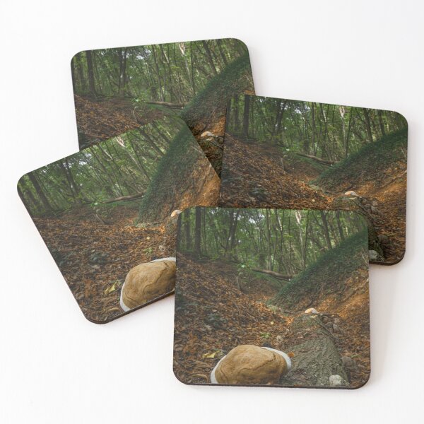 Item preview, Light brown mushroom on wood log with sunlit valley in green forest designed and sold by PR7 photography.