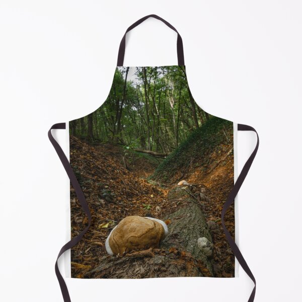 Item preview, Light brown mushroom on wood log with sunlit valley in green forest designed and sold by PR7 photography.