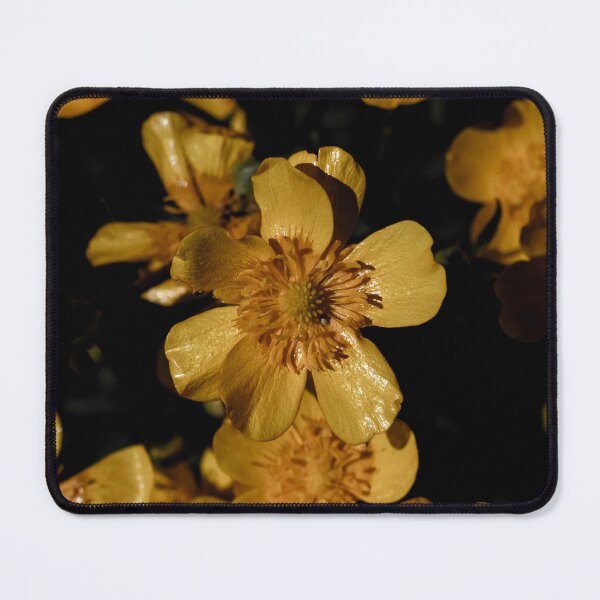 Item preview, Yellow flower on black background designed and sold by PR7 photography.