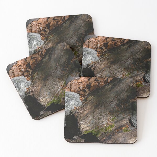 Item preview, Mossy wood log with grey mushrooms and sunlight beams designed and sold by PR7 photography.