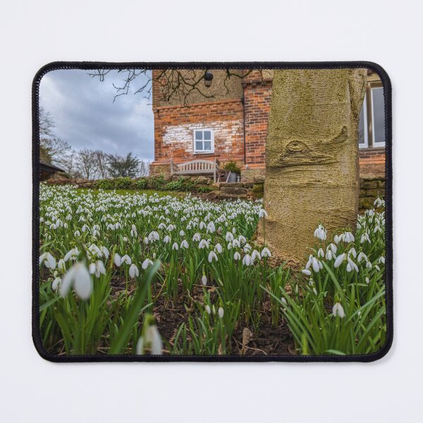 Item preview, Snowdrops designed and sold by Thomas Halouva.
