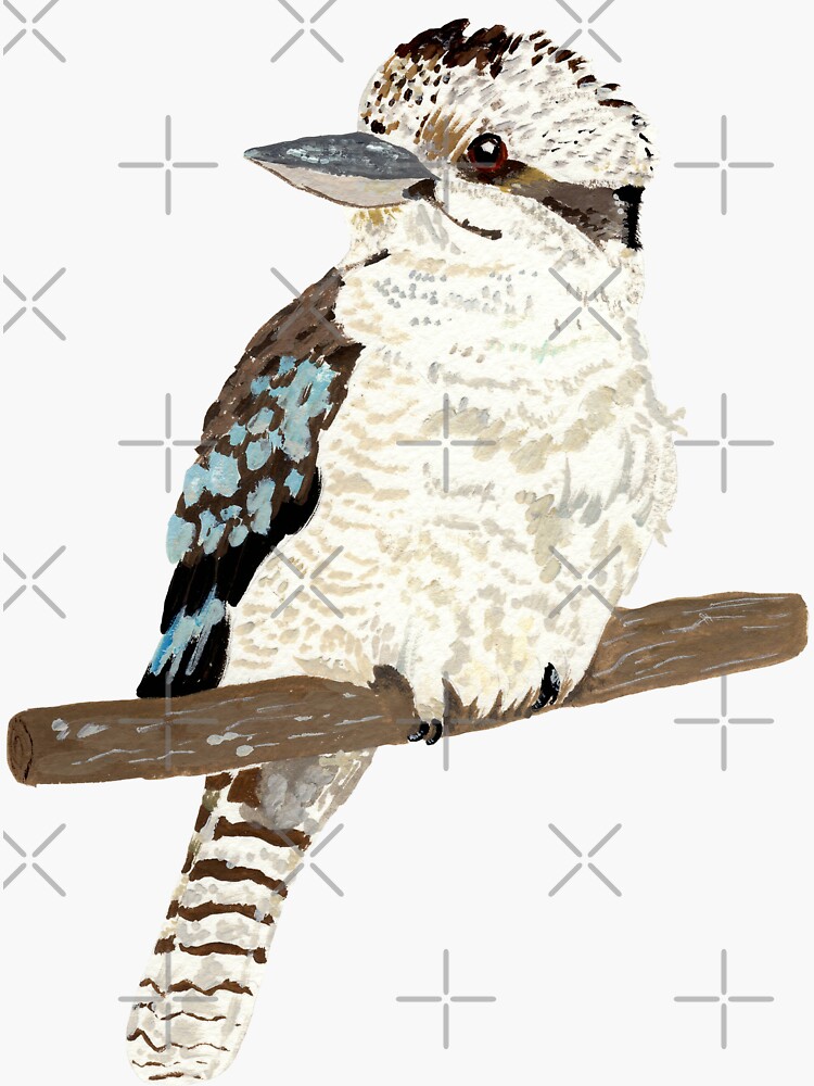 Thumbnail 3 of 3, Sticker, kookaburra designed and sold by ellietography.