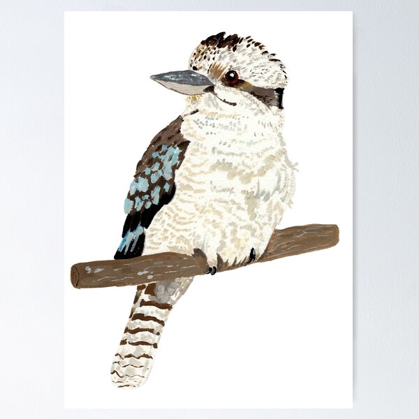Item preview, kookaburra  designed and sold by ellietography.