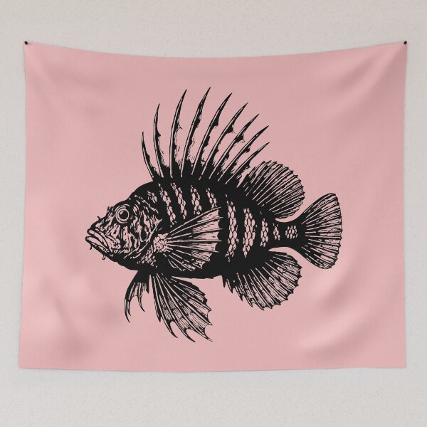 Item preview, Lionfish Art Print, Nautical Sea Life, Antique Fish Illustration Vintage Poster, Coastal Beach House designed and sold by kilosdesignstudio.