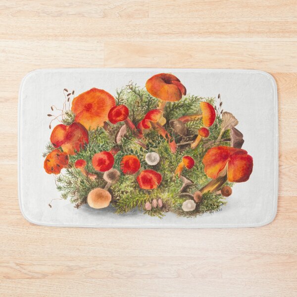 Item preview,  Botanical Study of Mushrooms – 1880 Vintage by Mary Vaux Walcott designed and sold by EmeraldeaArt.