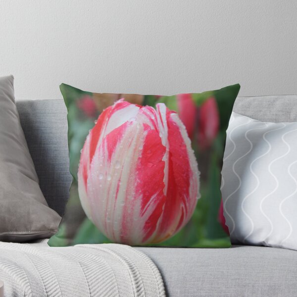 Item preview, streaks of color designed and sold by Megan A.