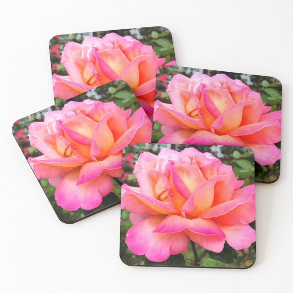 Item preview, Pink Rose Photo designed and sold by Sky-99.
