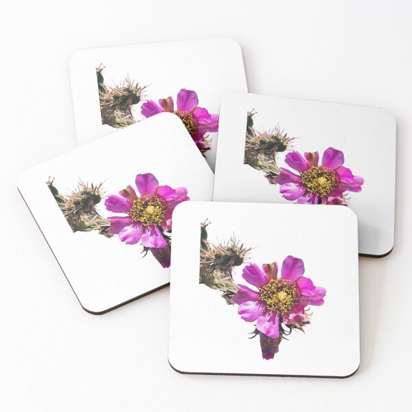 Item preview, Desert Cactus Flower Photo designed and sold by Mystical Fairy Forage.