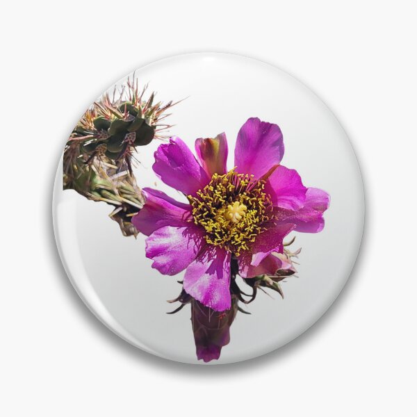 Item preview, Desert Cactus Flower Photo designed and sold by Mystical Fairy Forage.