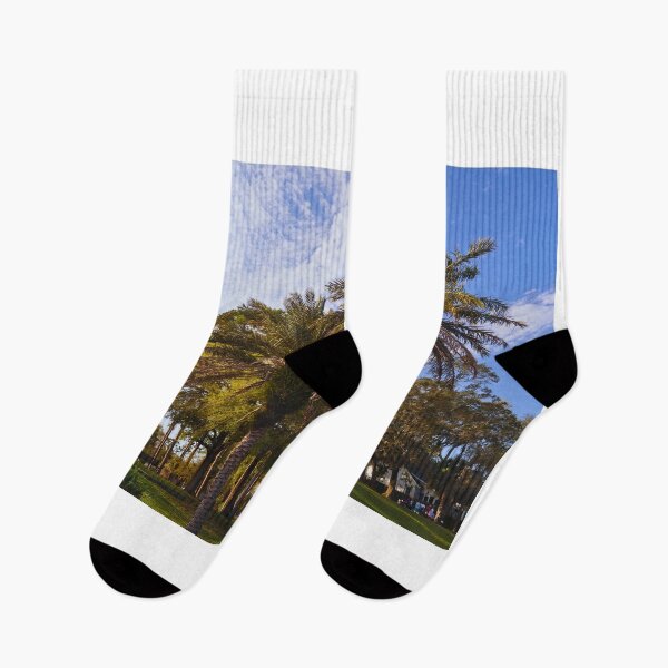 Item preview, Florida Palm Trees & Cloudy-Blue Sky designed and sold by Phakade's Photos.