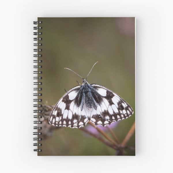 Item preview, Marbled White Butterfly designed and sold by Viv Thompson Photography .