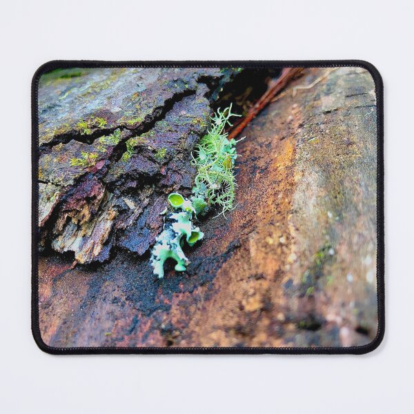 Item preview, Growth designed and sold by MindfulGemini.