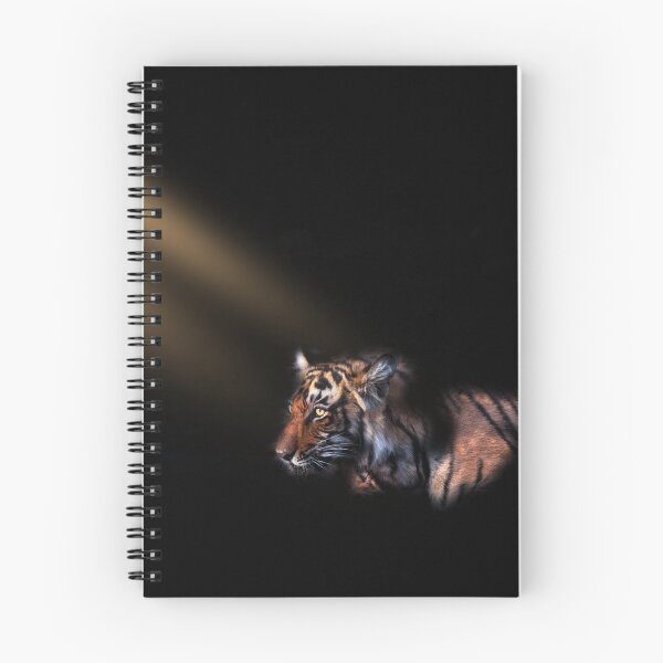 Item preview, when a spot light elivated the stripes and colors designed and sold by Prakruti prints.