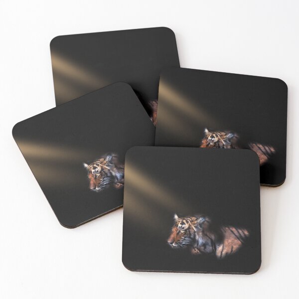 Item preview, when a spot light elivated the stripes and colors designed and sold by Prakruti prints.