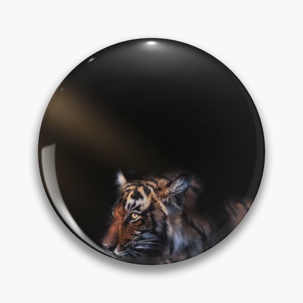Item preview, when a spot light elivated the stripes and colors designed and sold by Prakruti prints.