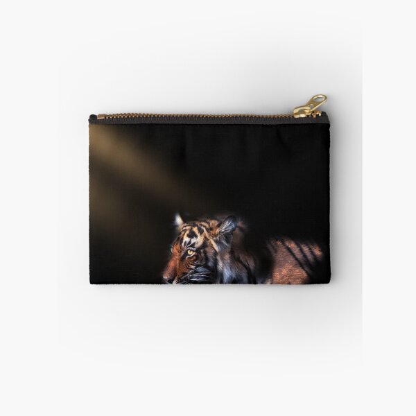 Item preview, when a spot light elivated the stripes and colors designed and sold by Prakruti prints.