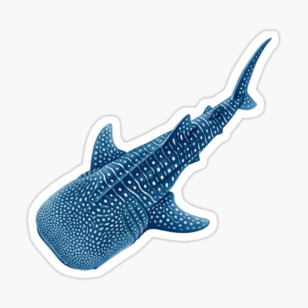 Vista previa del artículo con la obra «Tiburón ballena», diseñado y vendido por 4rtistcDrift.