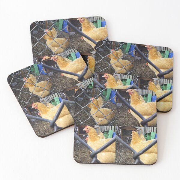 Item preview, Chicken Quadtych designed and sold by ShutterbugBttns.