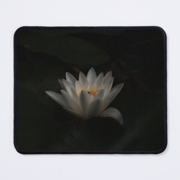 Item preview, White Water Lilly in bloom designed and sold by Jampsphotos.