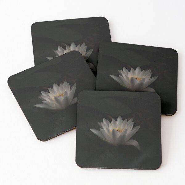 Item preview, White Water Lilly in bloom designed and sold by Jampsphotos.