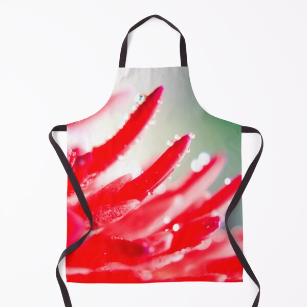 Item preview, Flaming torch bromeliad designed and sold by Dante Hadley.