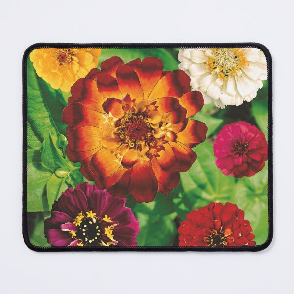Item preview, Zinnias designed and sold by Jim Lorman.