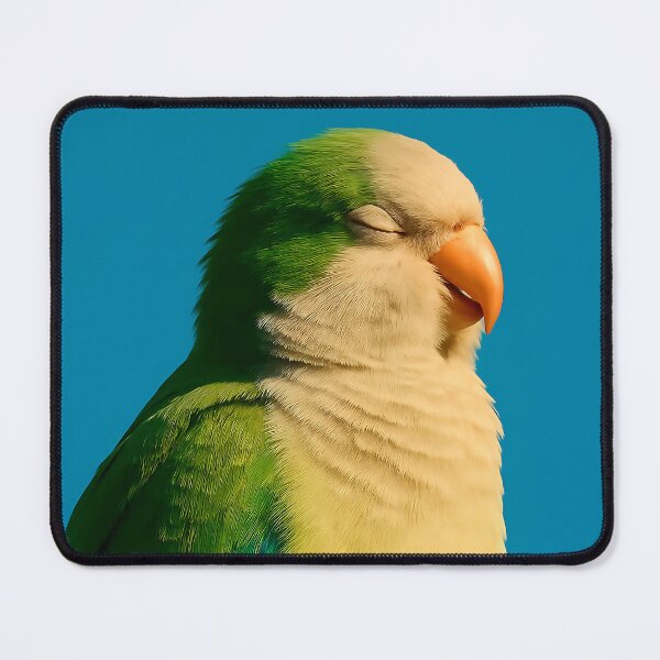 Item preview, Serene Green Parrot: Basking in Blue Sky Tranquility designed and sold by Alan Javier Cordoba Espinosa.