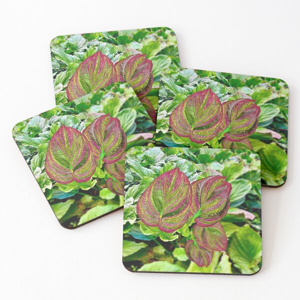 Item preview, Skunk Cabbage designed and sold by Jim Lorman.