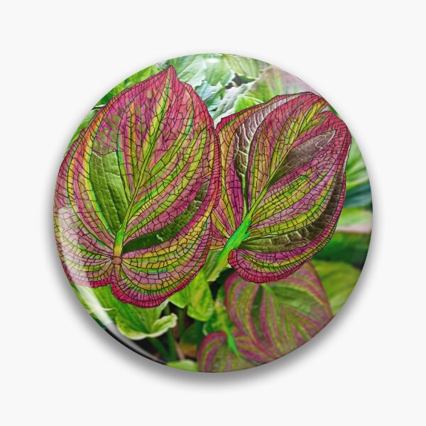 Item preview, Skunk Cabbage designed and sold by Jim Lorman.