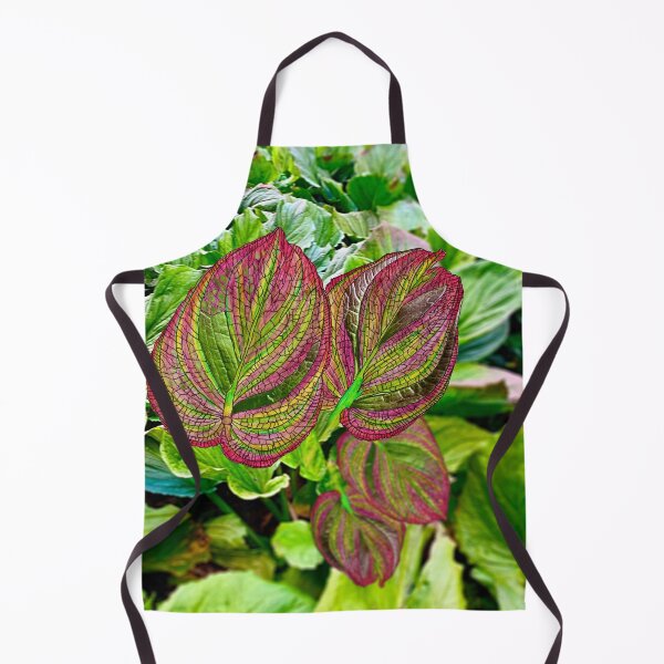 Item preview, Skunk Cabbage designed and sold by Jim Lorman.