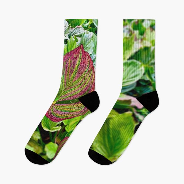 Item preview, Skunk Cabbage designed and sold by Jim Lorman.