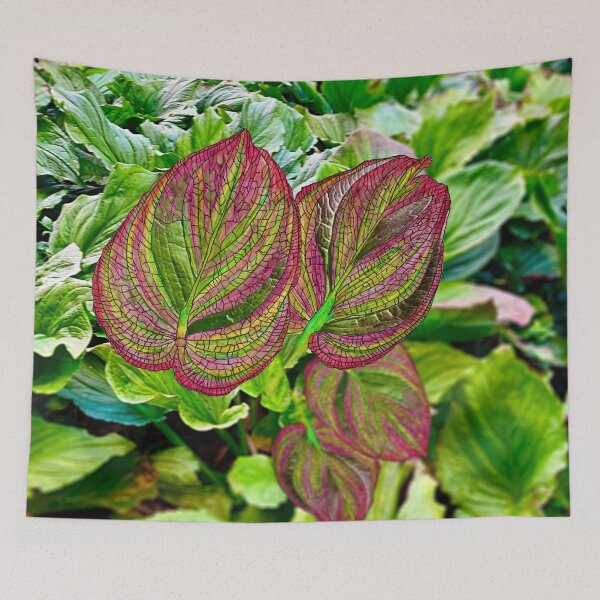 Item preview, Skunk Cabbage designed and sold by Jim Lorman.