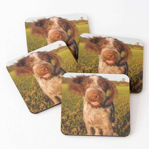 Item preview, Brown Roan Italian Spinone Puppy Dog In Action by heidiannemorris designed and sold by FOLK ART FUSION by heidiannemorris.
