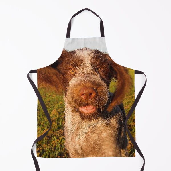 Item preview, Brown Roan Italian Spinone Puppy Dog In Action by heidiannemorris designed and sold by FOLK ART FUSION by heidiannemorris.