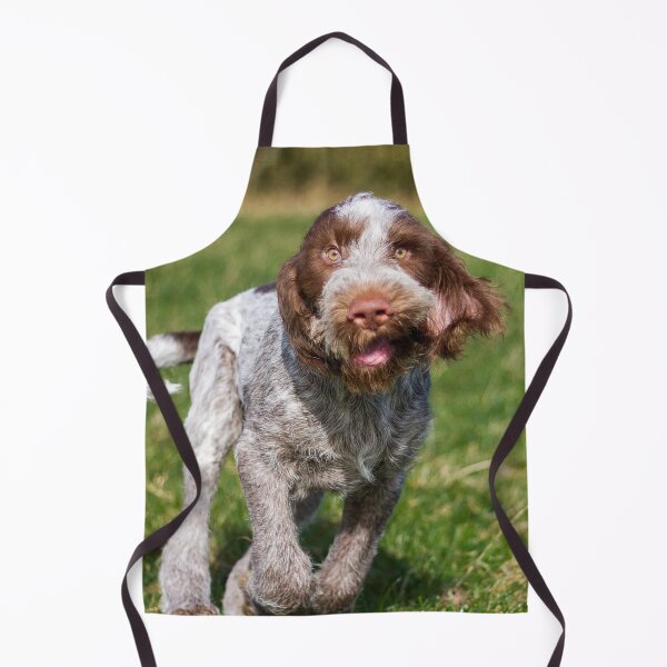 Item preview, Cute Brown Roan Italian Spinone Puppy by heidiannemorris © designed and sold by FOLK ART FUSION by heidiannemorris.